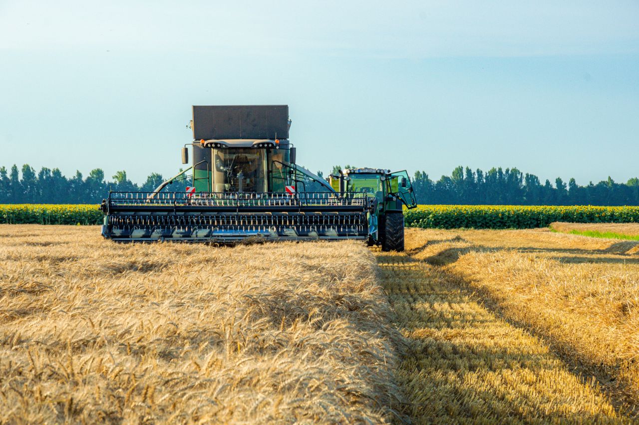 Sustainable Farming Practices For A Better Future