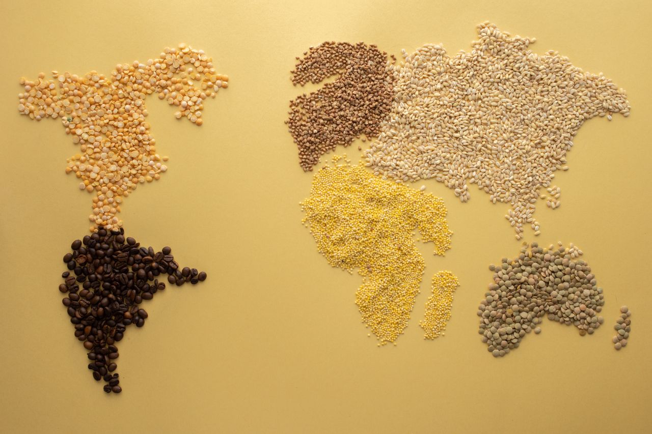 Understanding Global Food Supply Chains